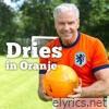 Dries in Oranje - Single