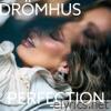 Perfection - EP