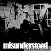Misunderstood - Single