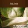 Evergreen Heart - Single