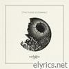 Earlyrise lyrics