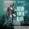 Send Your Rain - Single