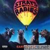 Strays with Rabies