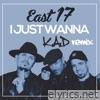 I Just Wanna (K.A.D Remix) - Single