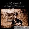 A Ghost Walked Through Me - Single