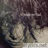 what we had - Single