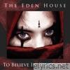 To Believe in Something (Single version) [feat. Monica Richards] - Single