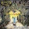 Edge Of Sanity - Unorthodox (Remix 2025)