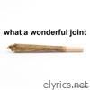 What a Wonderful Joint - EP