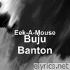 Buju Banton - Single