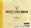 Meet the EELS: Essential EELS 1996-2006 Vol. 1