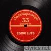 Долгоиграющая 33 оборота - Single