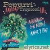 Popurrí Navidad Tropical 3: Aguinaldo Con Billo / Amor y Paz - Single