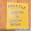 Fragile Wishes - Single