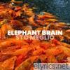 Elephant Brain - Sto meglio - Single