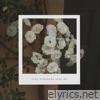 Find Somebody Like Me - Single
