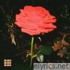 Midnight Rose - Single