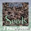 Seeds (J Paul Mix) (feat. Cassorla) - Single
