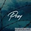 Pray (feat. Jonathan Paulsen) - Single