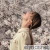 Spring Songs On The Fly