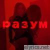 Разум - Single