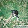 Lost - Single