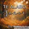 Te alabo - Single