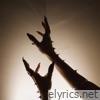 Even a Worm Will Turn - Single