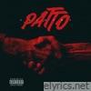 Enjoyr1 - Patto - Single