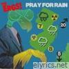 Pray For Rain (20th Anniversary Steve Albini Remix) - Single