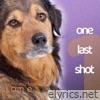 One Last Shot - Single