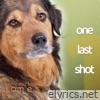 One Last Shot (instrumental) - Single
