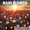 Nani Mjinga - Single