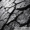 Crack in my heart - Single