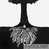 Eryn Allen Kane - a tree planted by water - EP