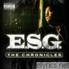 E.s.g. - Chronicles
