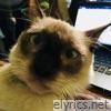 Chrisremborak - Single