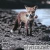 Eastend Requiem - Single