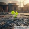 To the End (Everyday Version) - Single