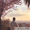 Un ideal - Single