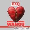 SORRY MOYO WANGU - Single