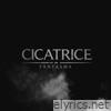 CiCaTrIcE - Single