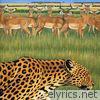 Fantastic Plastic Machine - Zoo