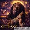 Fat Trel lyrics