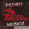 Pedro Muñoz (En Vivo) - Single