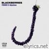 Blackberries - Single