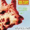 This Here Giraffe - EP