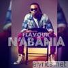 Flavour - N'abania