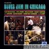 Blues Jam in Chicago, Vol. 1