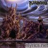 Fleshgore - Killing Absorption